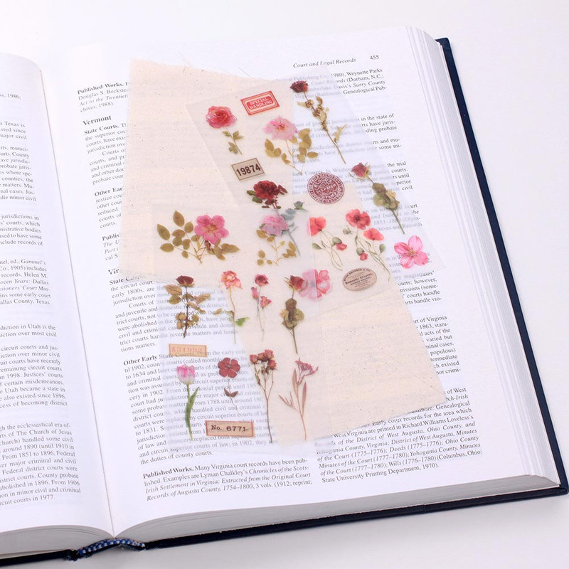 Example of use - APPREE Botanical Pink Rub-On Sticker Pack