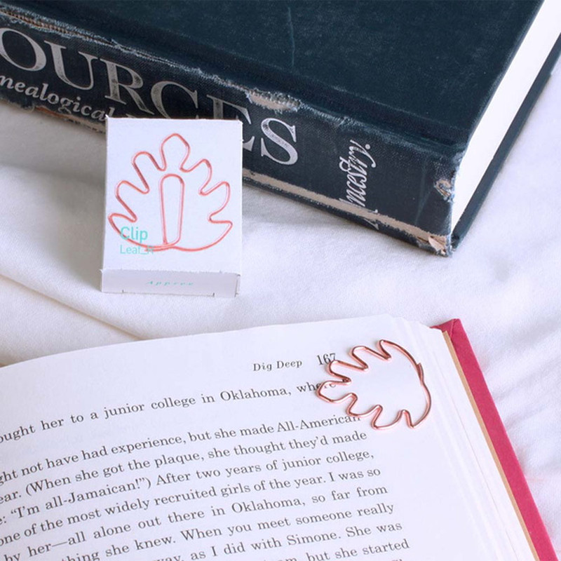 usage example of Appree Rose Gold Leaf Metal Clip Pack usage example of Appree Rose Gold Leaf Metal Clip Pack