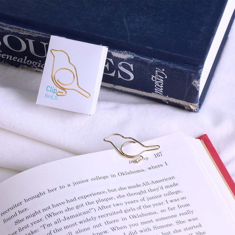 usage example of Appree Gold Bird Metal Clip Pack usage example of Appree Gold Bird Metal Clip Pack