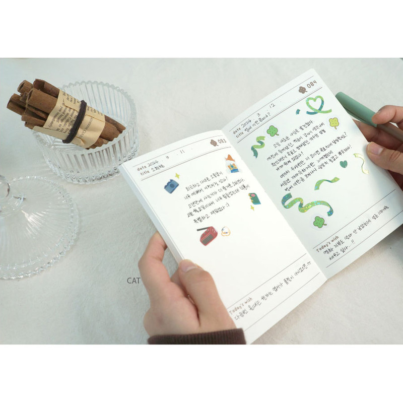 100 day daily plan - O-Check Best Wish 100 Days Dateless Daily Planner 