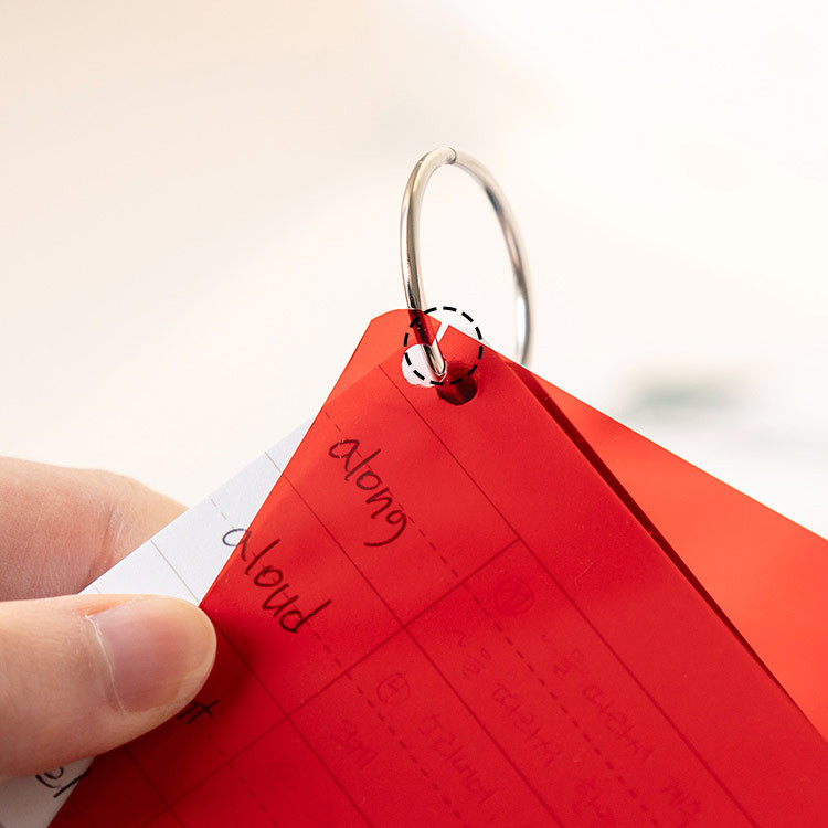 red film - ROMANE Brunch Brother Vocabulary Word Book