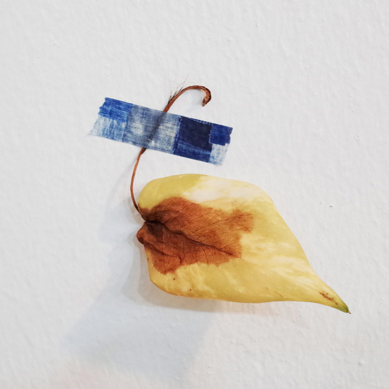 Usage Example of Universal Condition Denim Patchwork Paper Masking Tape