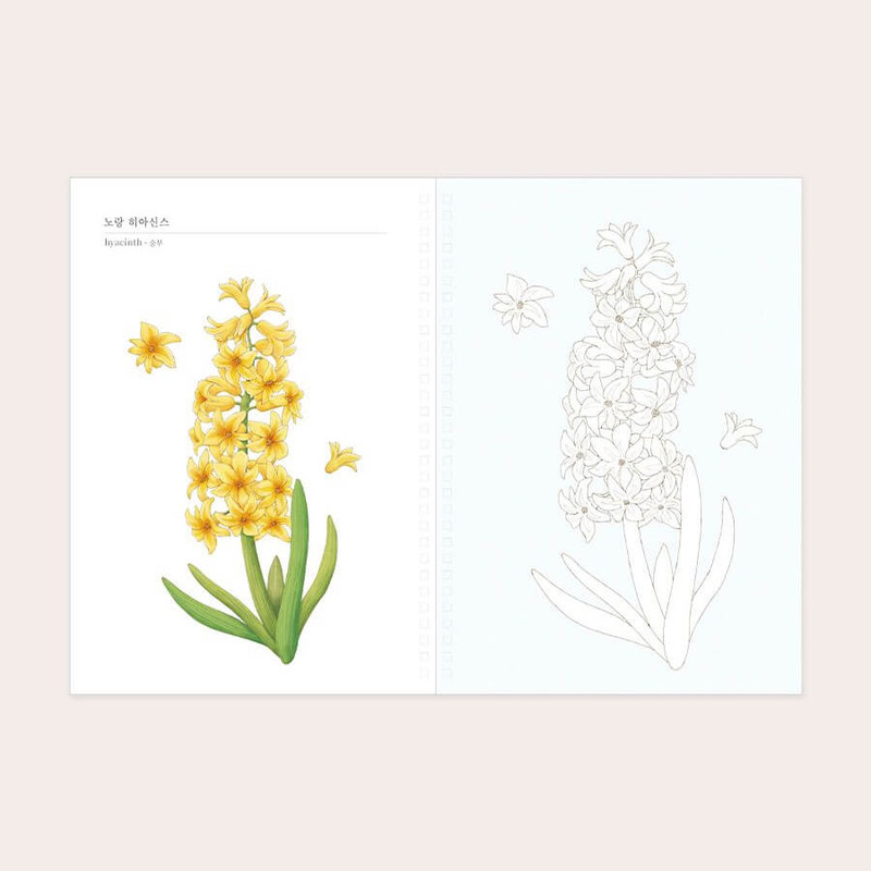 example of pages - Indigo Birth Month Flower Adult Coloring Book example of pages - Indigo Birth Month Flower Adult Coloring Book