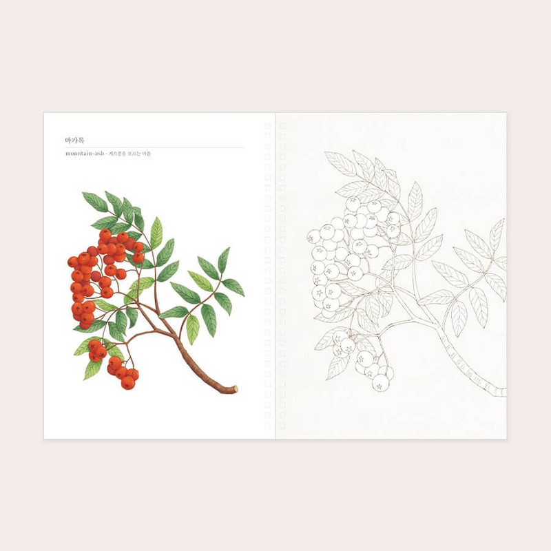 example of pages - Indigo Birth Month Flower Adult Coloring Book example of pages - Indigo Birth Month Flower Adult Coloring Book