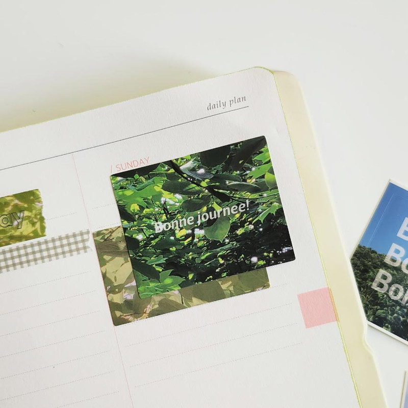 Detail of Vibrant Green Tree Stickers Pack