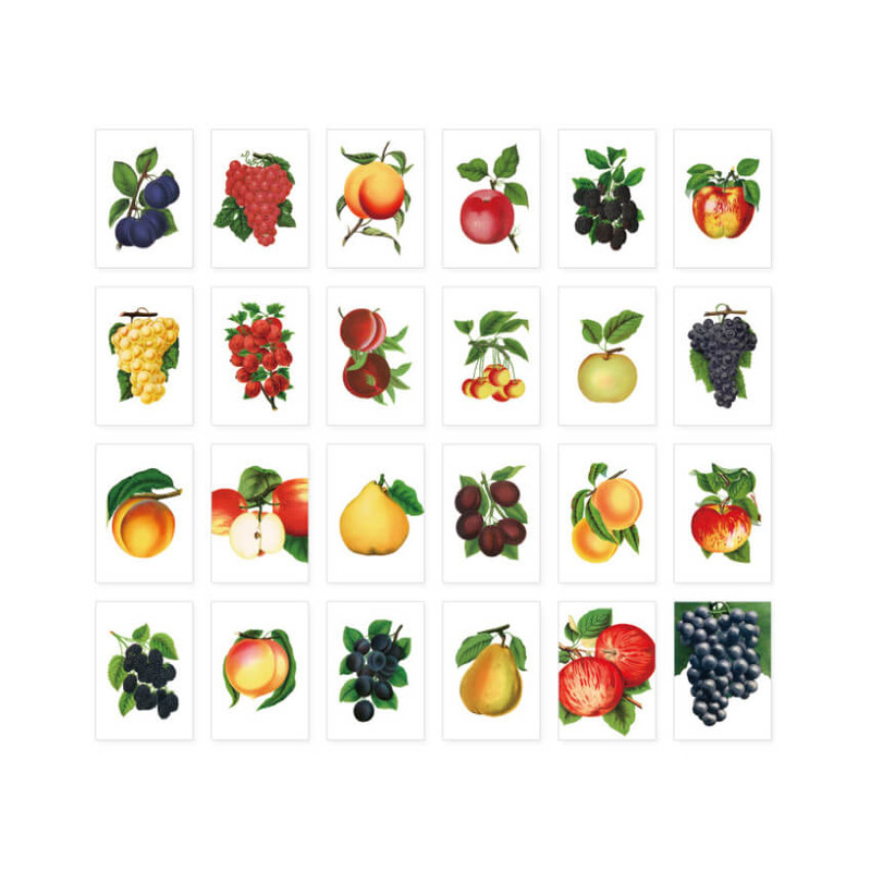 Detail of Nacoo Fruit Mini And Label Sticker Pack