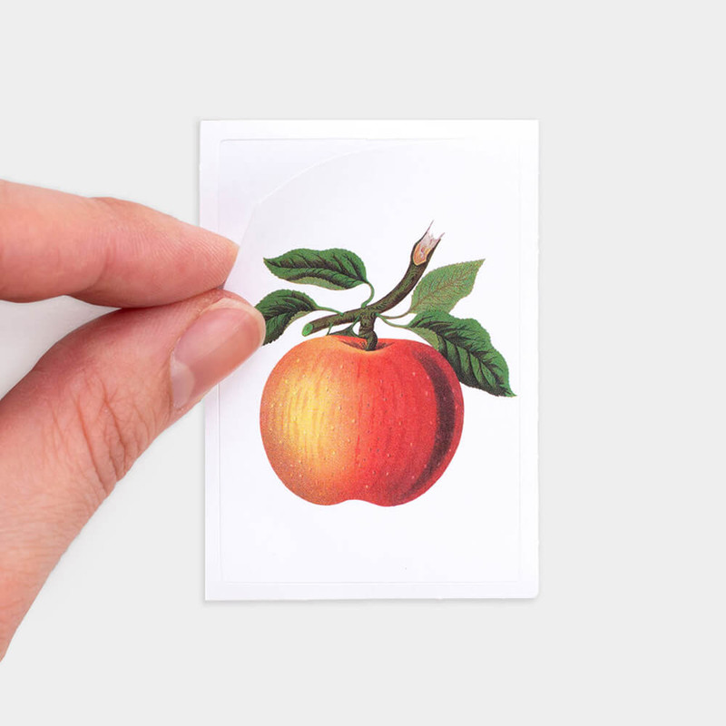 Label sticker - Nacoo Fruit Mini And Label Sticker Pack