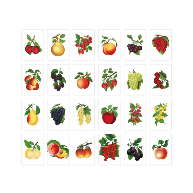Detail of Nacoo Fruit Mini And Label Sticker Pack