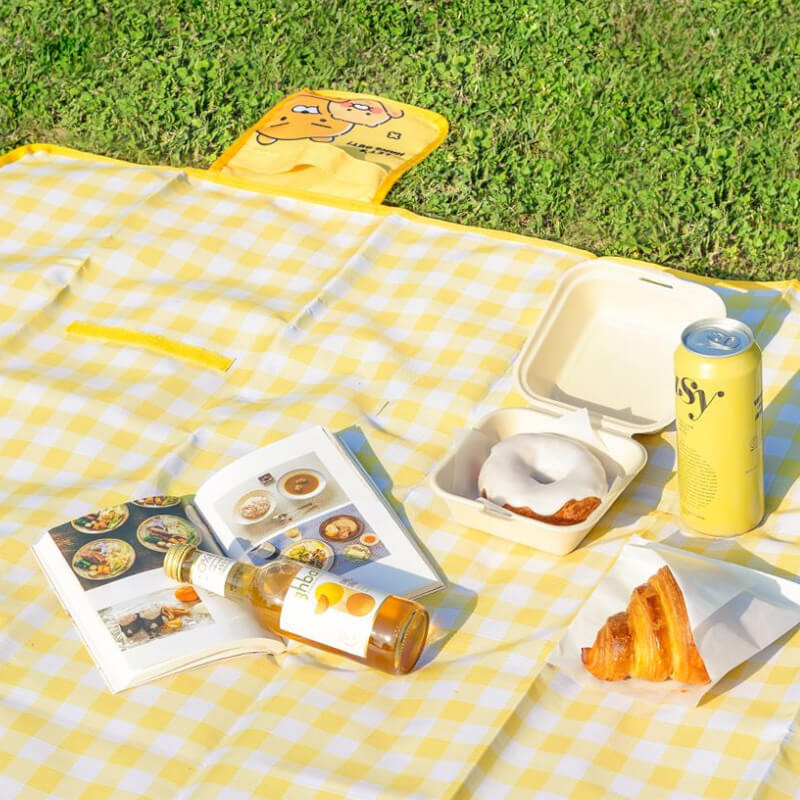 Usage example of Kakao Friends Ryan & Choonsik Foldable Picnic Mat Blanket