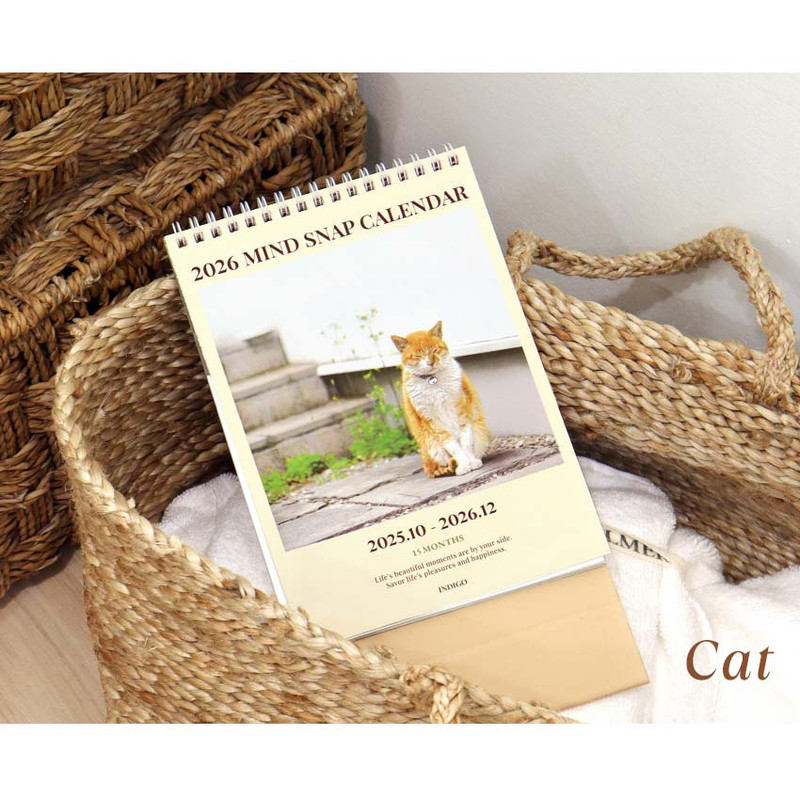 Cat - Indigo 2026 Mind Snap A5 Desk Calendar
