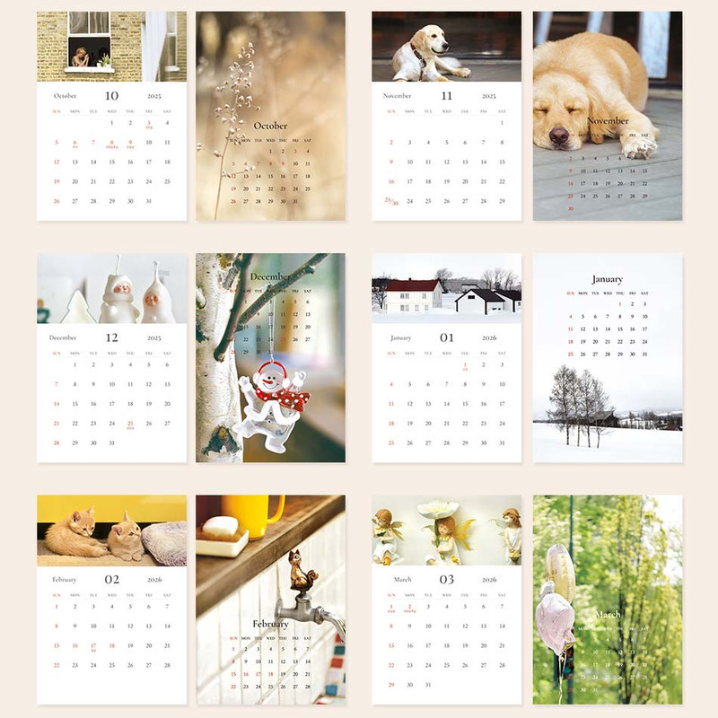 Calendar pages - Indigo 2026 Mind Snap A5 Desk Calendar