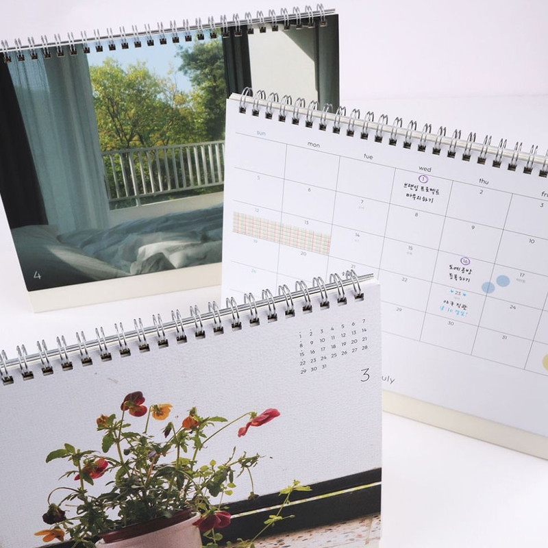 Heartwarming photography - Dash and Dot 2026 Life Flow Monthly Desk Calendar Heartwarming photography - Dash and Dot 2026 Life Flow Monthly Desk Calendar