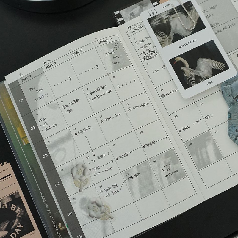 Monthly plan - Indocyder 2025 Still Cut 365 Days Dated Daily Planner Monthly plan - Indocyder 2025 Still Cut 365 Days Dated Daily Planner