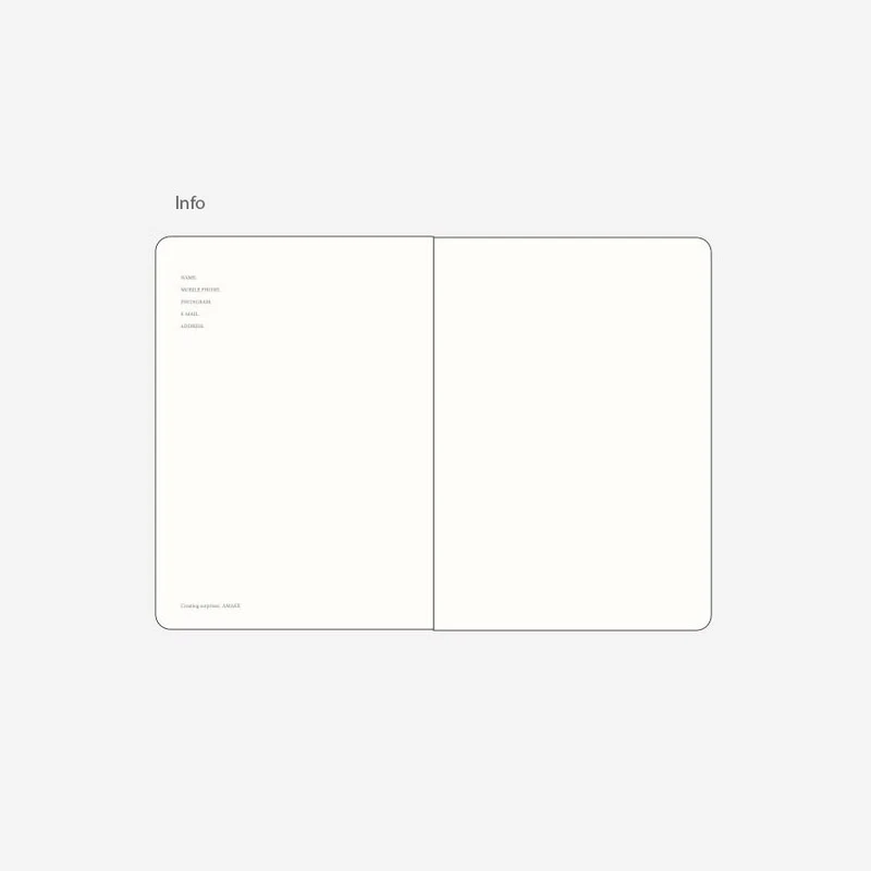 Info - AMAKE 2025 Rewind The Day A4 Dated Monthly Planner