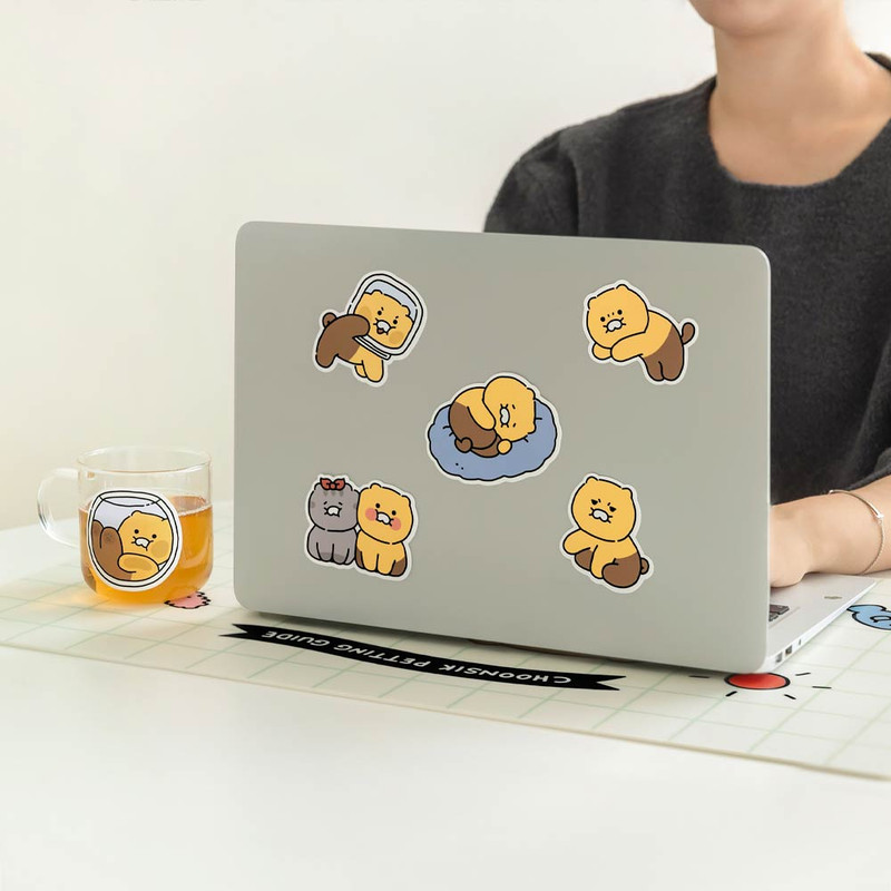 Usage example of Kakao Friends Big Choonsik Ordinary Removable Sticker Pack