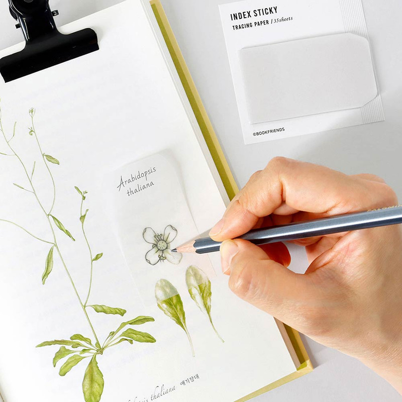 Usage example of Book Friends Tracing Paper Small Index Sticky Notepad