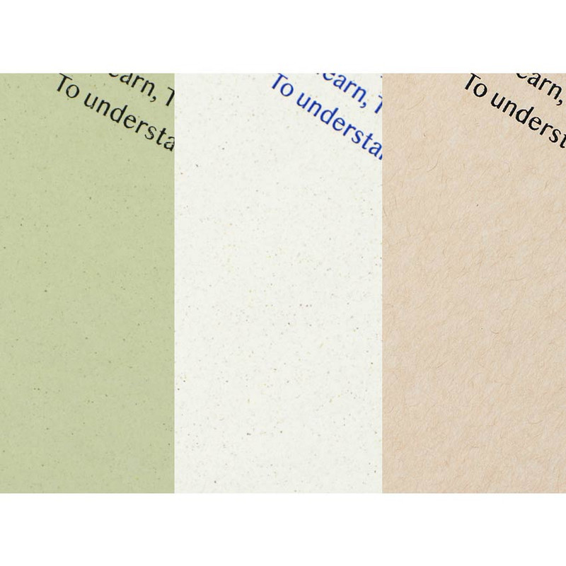 3 Color  -Paperian Lists To Live By 3 Row B6 Undated Weekly Planner 3 Color  -Paperian Lists To Live By 3 Row B6 Undated Weekly Planner