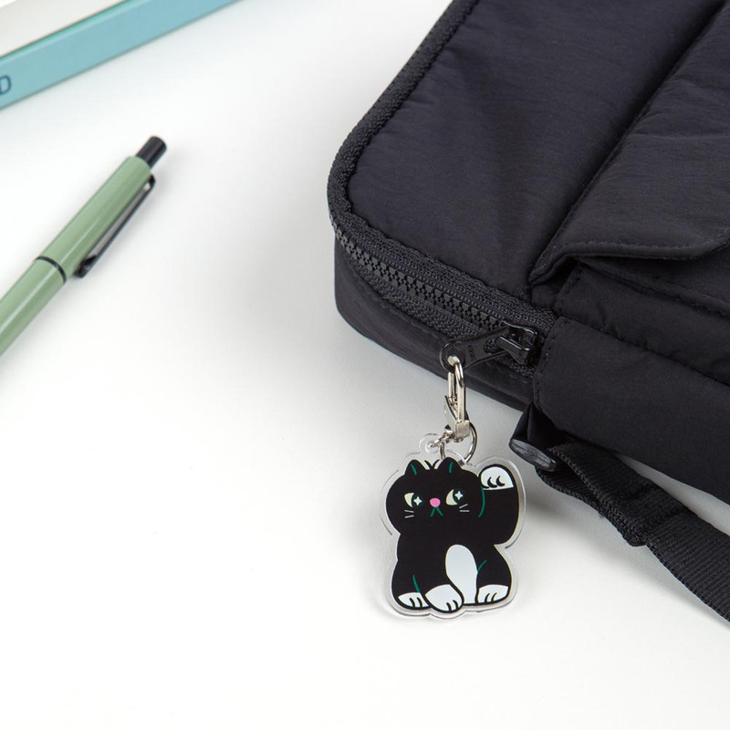 Usage example of All New Frame Luc-ky Cat Acrylic Keyring