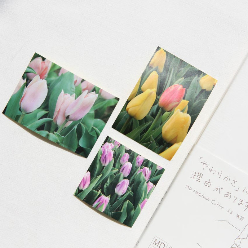 Usage example of Mingkit Tulip Paper Sticker Pack Usage example of Mingkit Tulip Paper Sticker Pack