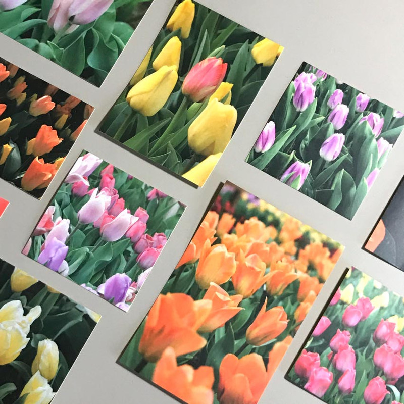 Mingkit Tulip Paper Sticker Pack Mingkit Tulip Paper Sticker Pack