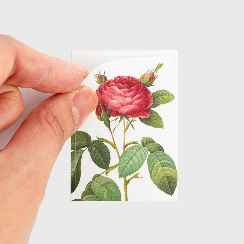 Easy Tear Off - NACOO Rose Mini & Label Sticker Pack