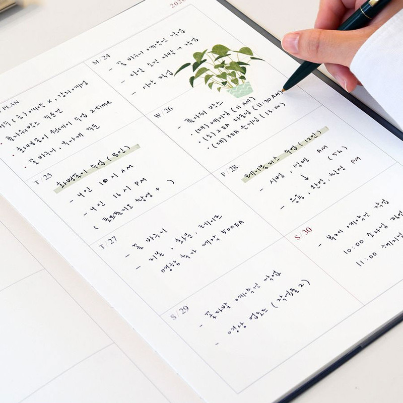 Weekly Plan - Indigo 2026 Official A4 Dated Weekly Planner Scheduler