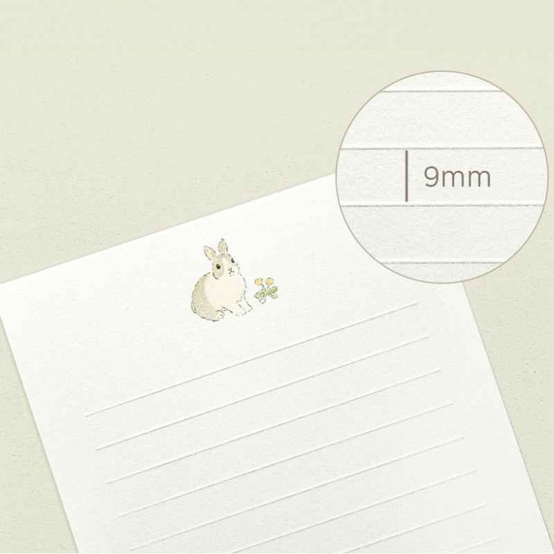 9mm line spacing - Dash and Dot Garden Walk Letter with Envelope Set