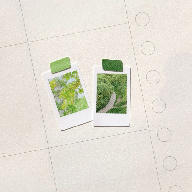 Usage example of Mingkit Green Instant Photo Removable Sticker