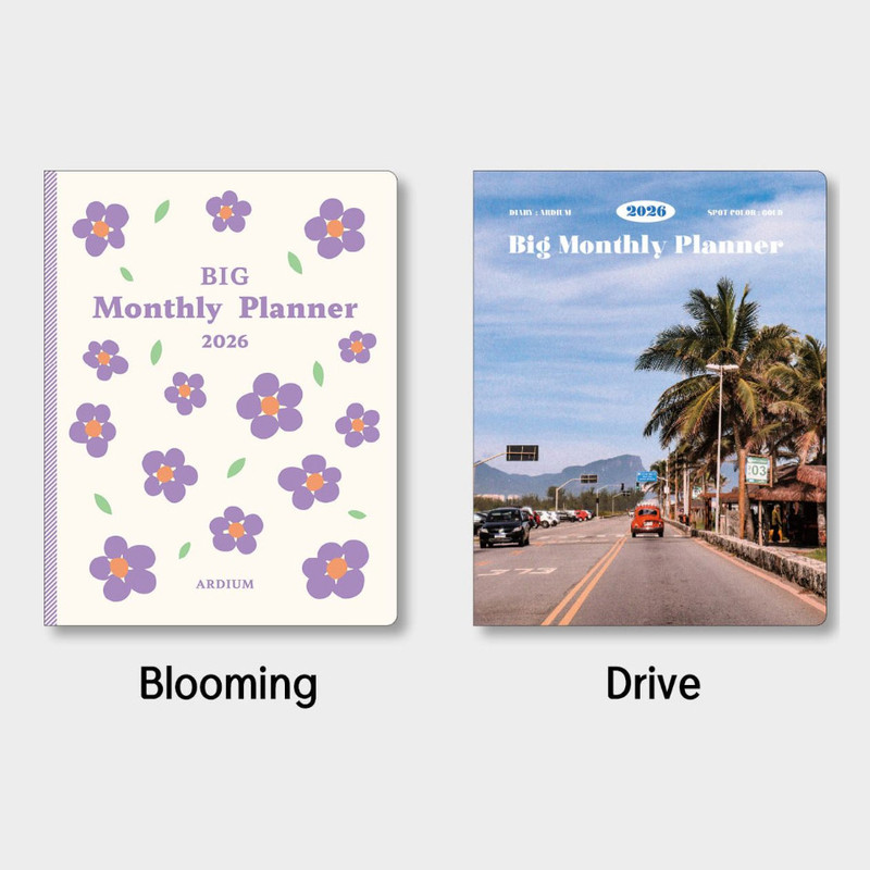 Option - Ardium 2026 Big Dated Monthly Planner