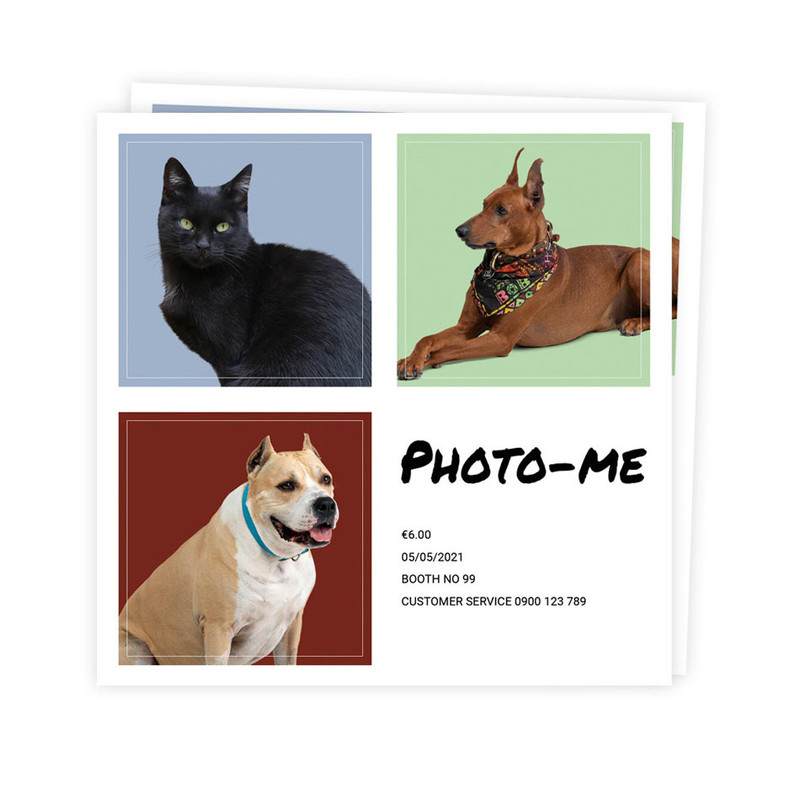 Set of 2 sheets - Notful Animal Photo Paper Sticker Set