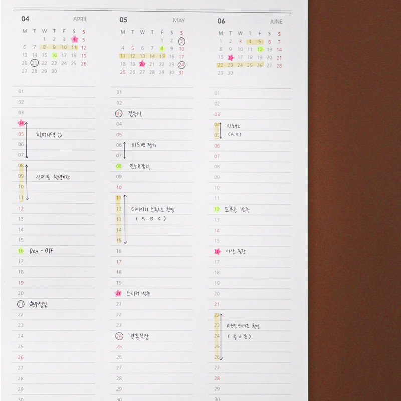 Yearly Plan - O-Check 2026 Record Your Day A4 Dated Monthly Planner