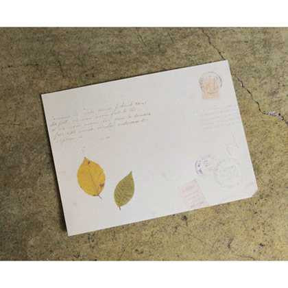 Seeso vintage leaf letter paper and envelope set