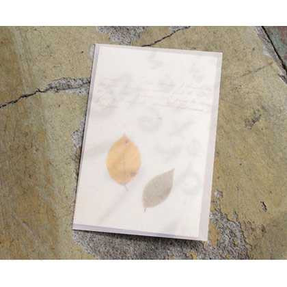 Seeso vintage leaf letter paper and envelope set