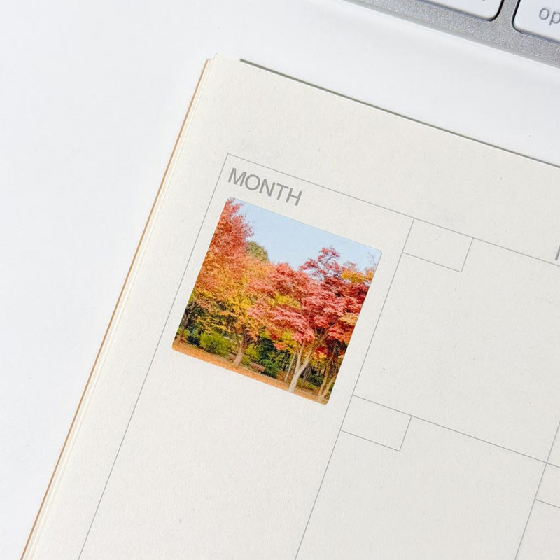 Easy Peel & Stick - Mingkit Autumn Squared Paper Sticker