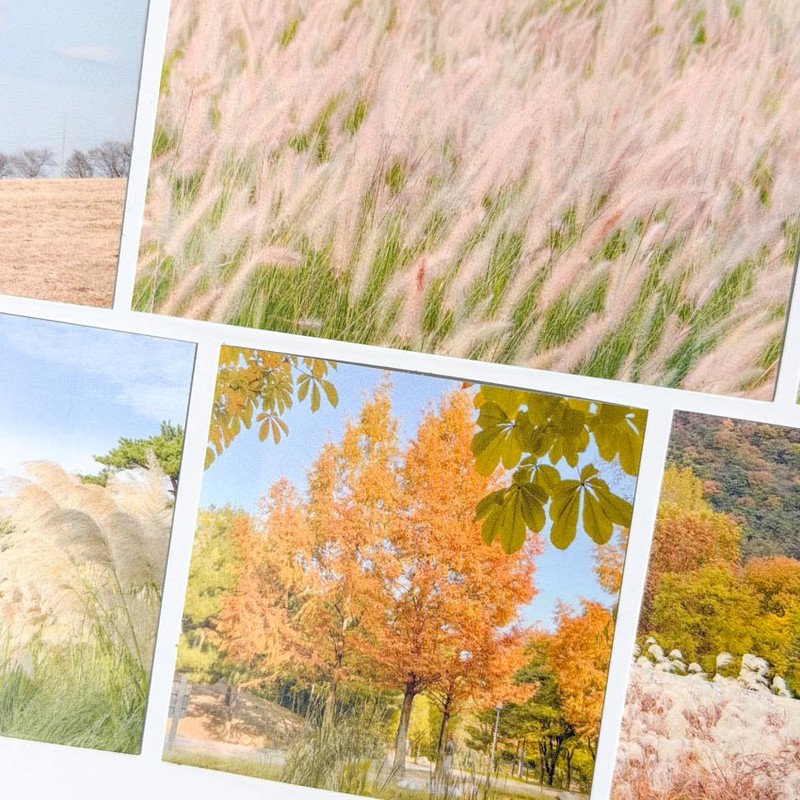 Pack of 10 Stickers - Mingkit Autumn Photo Sticker Pack
