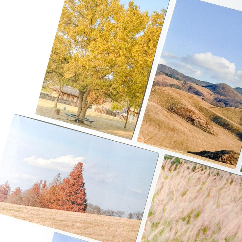 Photo Stickers - Mingkit Autumn Photo Sticker Pack