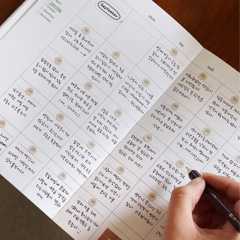 Monthly - Indigo Mind Snap 6 Months Dateless Monthly Diary Journal