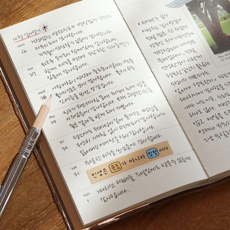 Weekly - Indigo Gibon 6 Months Dateless Weekly Diary Journal