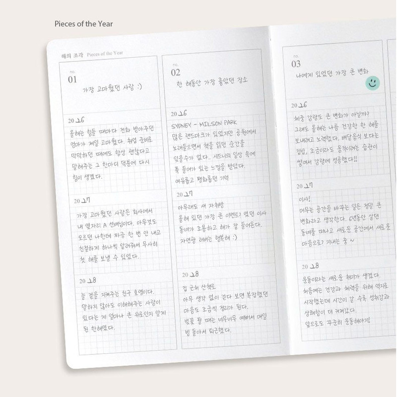 Pieces of the Year - ICONIC Everyday Life 3 Years Dated Daily Journal