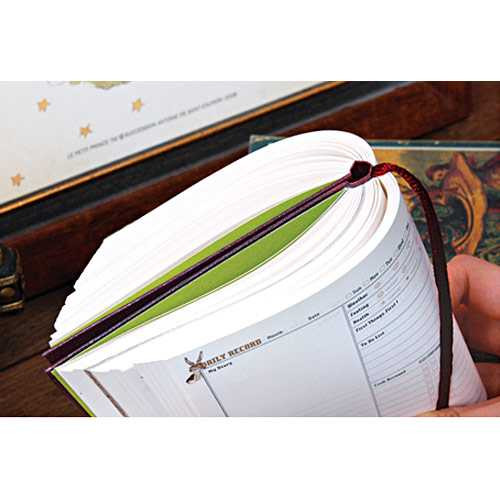 7321 Design Alice's hardcover diary scheduler