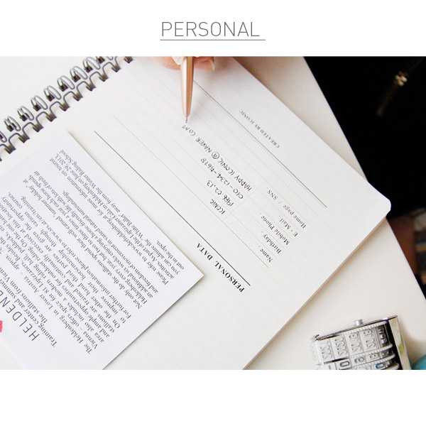 Iconic Un jour de reve retro wirebound notebook