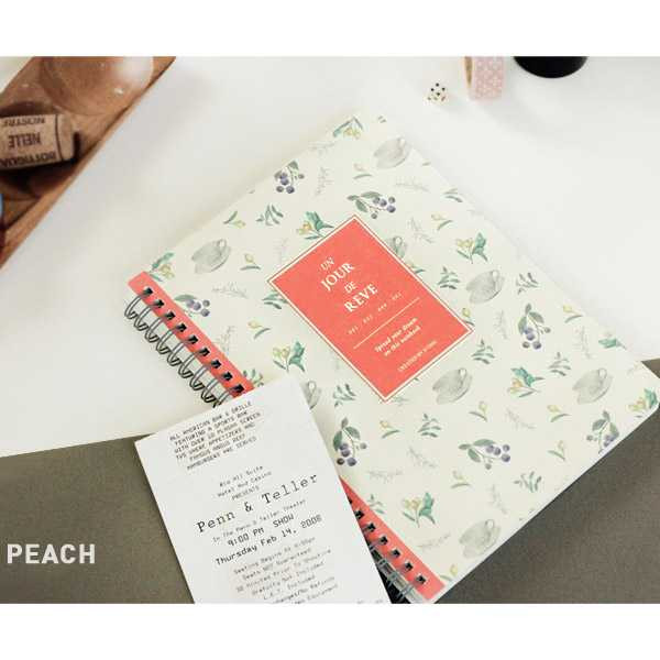 Iconic Un jour de reve retro wirebound notebook