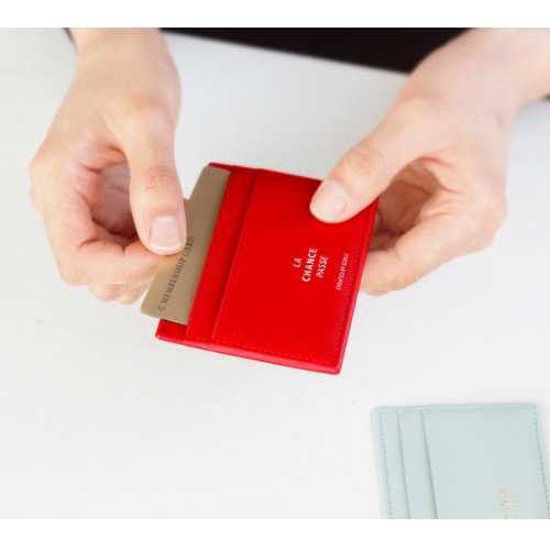 Iconic La chance passe flat card holder case