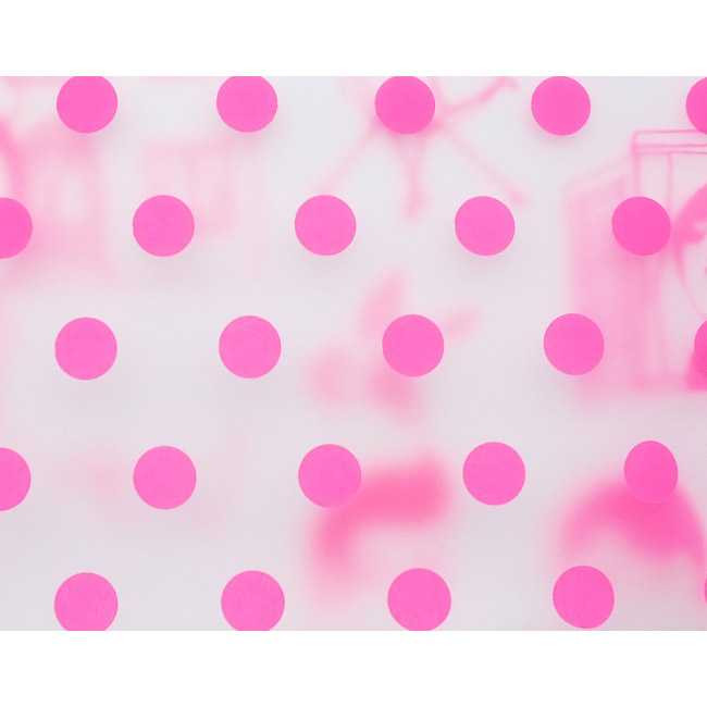 Oohlala Aurore dot clear zip lock pouch ver.2