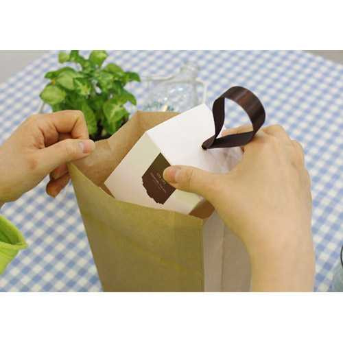 PlanD Kraft gift paper bag set