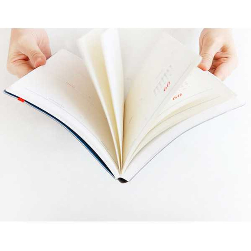 2015 Iconic Un jour de reve journal planner 2015 Iconic Un jour de reve journal planner