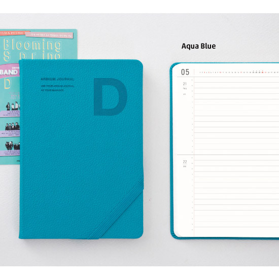 Aqua blue - 2015 Simple D dated daily journal