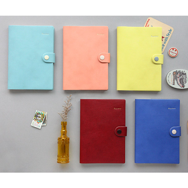 2015 Rainbow dated diary