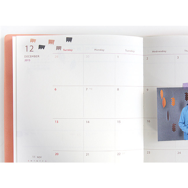 Monthly plan - 2015 Rainbow dated diary