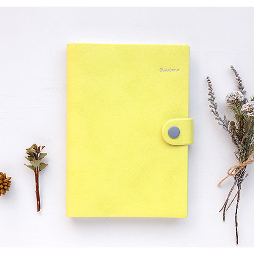 Lime - 2015 Rainbow dated diary